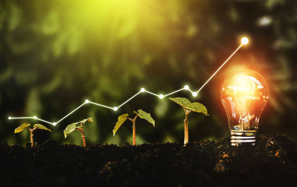 Innovación e Inversiones