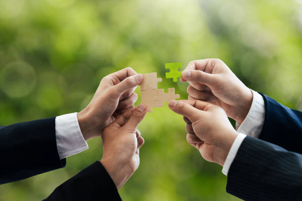 innovación y la responsabilidad social